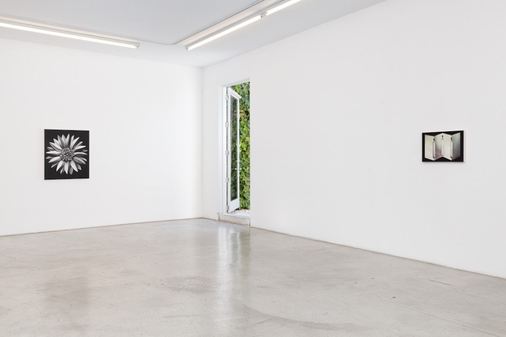 Carousel Image number 11