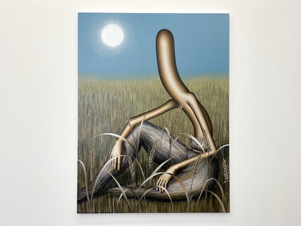 Carousel Image number 12