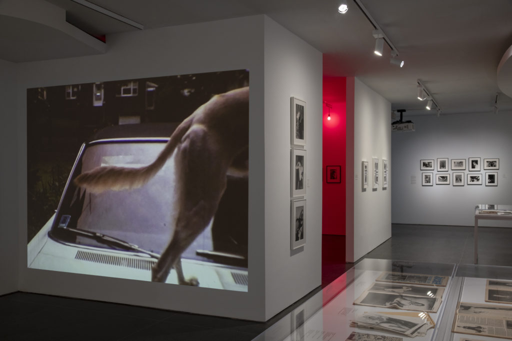 Installation view of Jimmy DeSana: Submission, Brooklyn Museum, 2022. Photograph by Danny Perez