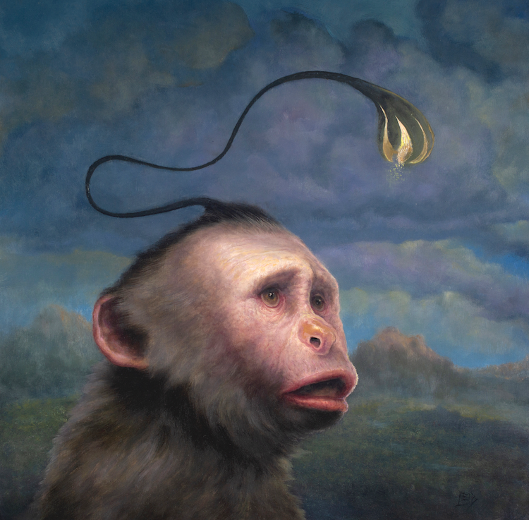 Chris Leib