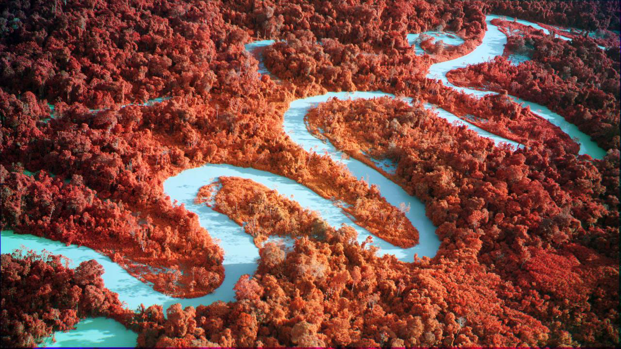 © Richard Mosse, from Broken Spectre