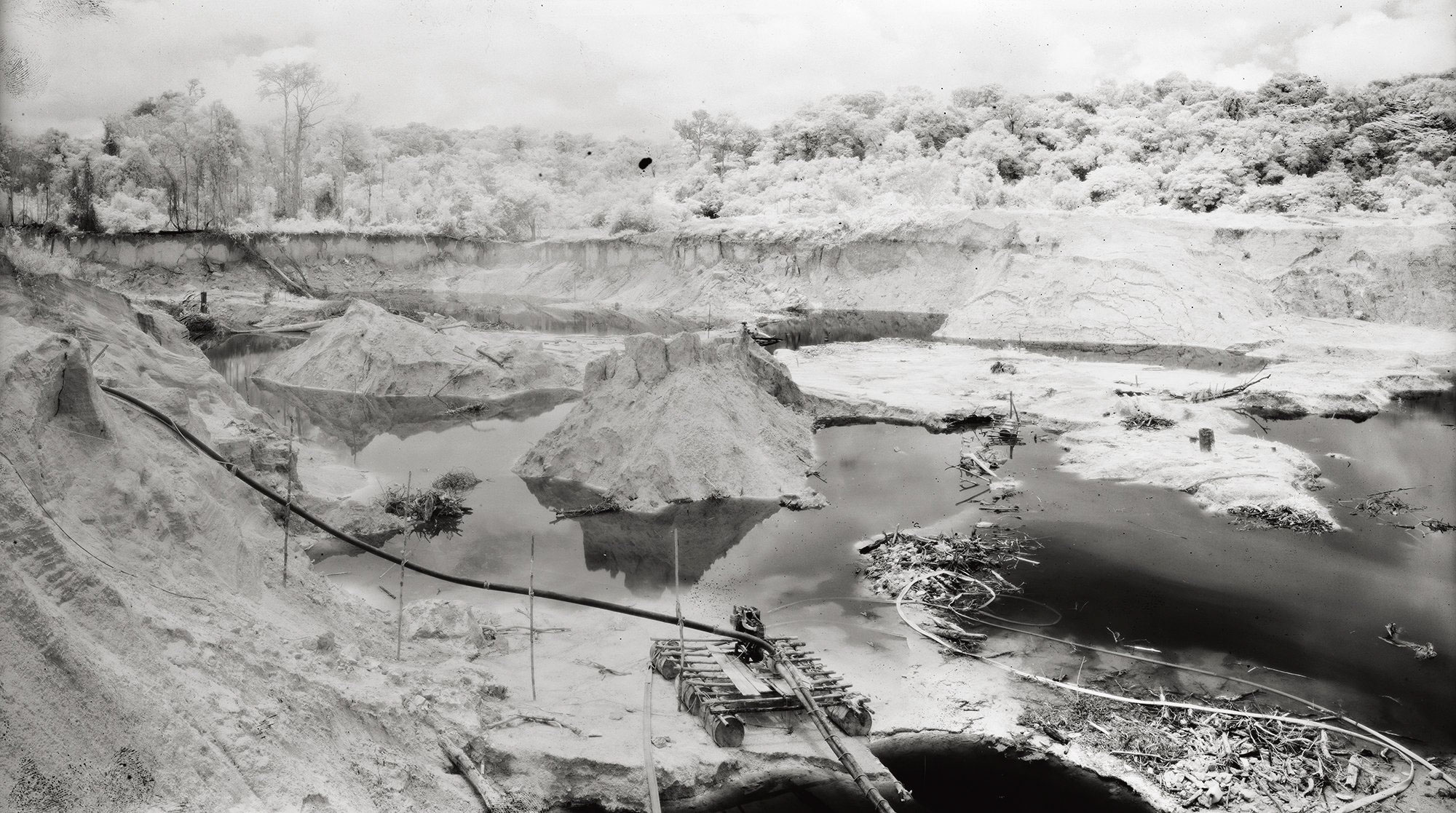 © Richard Mosse, from Broken Spectre