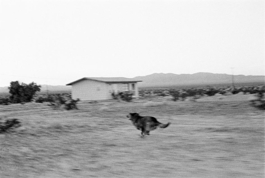 © John Divola from "Dogs Chasing My Car in the Desert""