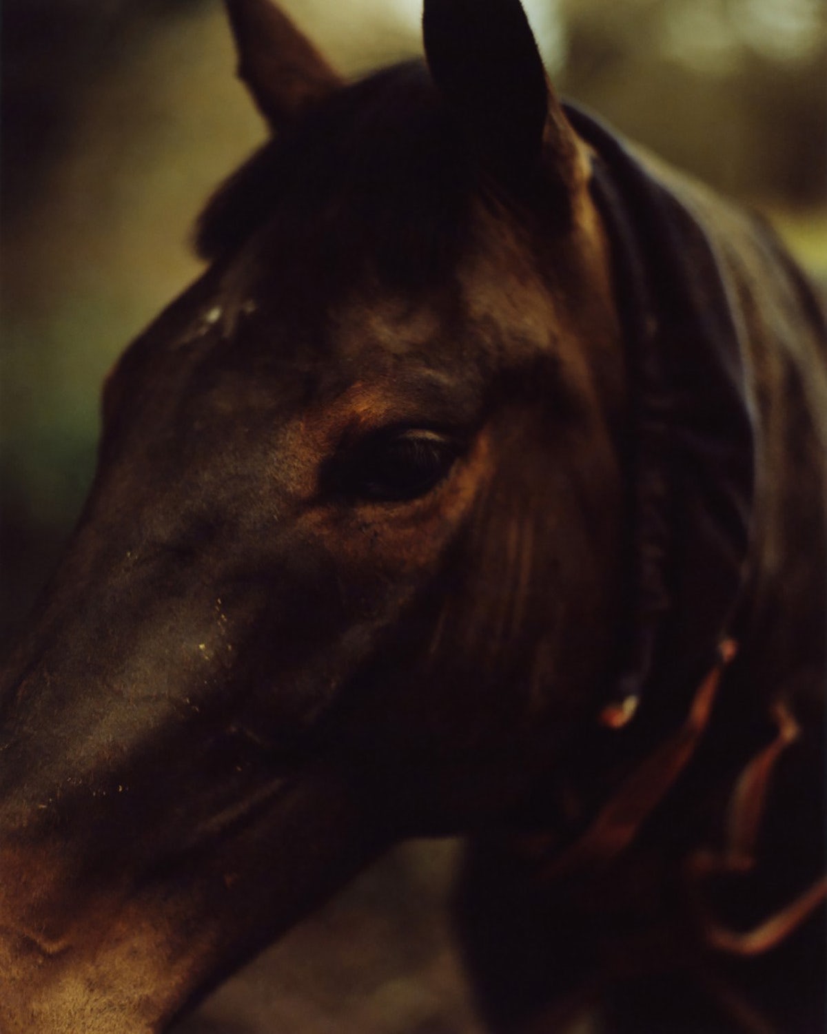 Carousel Image number 2