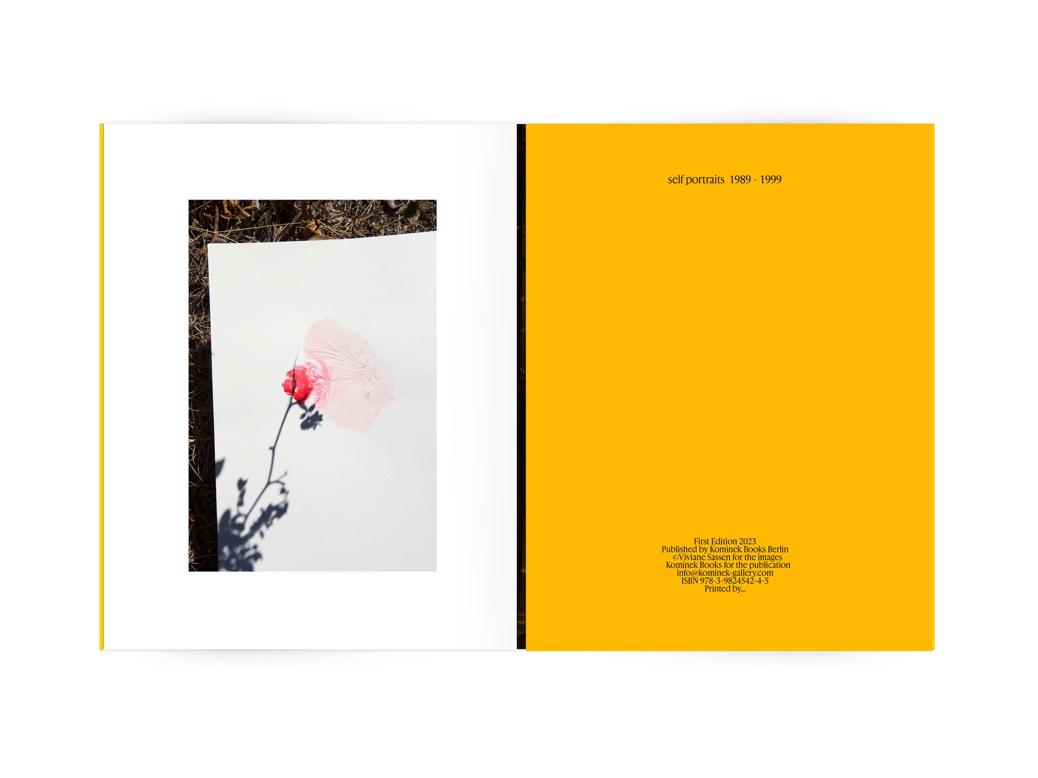 Juxtapoz Magazine - Take a Look Inside Viviane Sassen's New Book