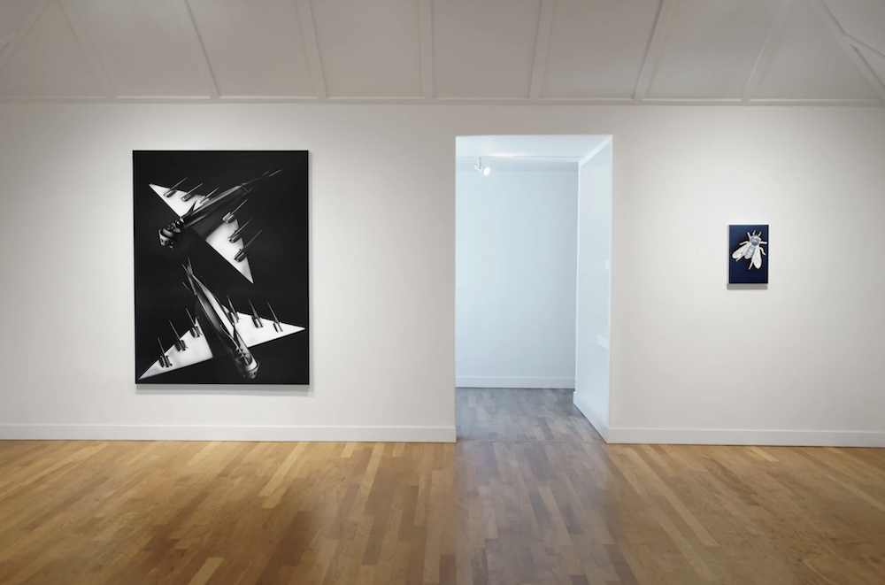 Carousel Image number 6