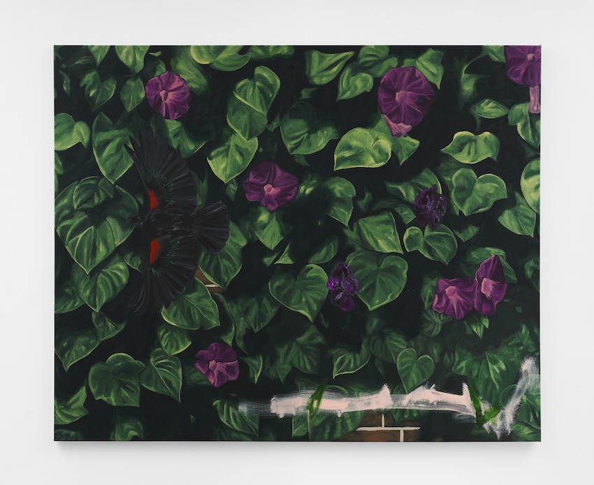 Morning Glory, 2024 Acrylic on canvas 83 x 96 inches 210.8 x 243.8 cm