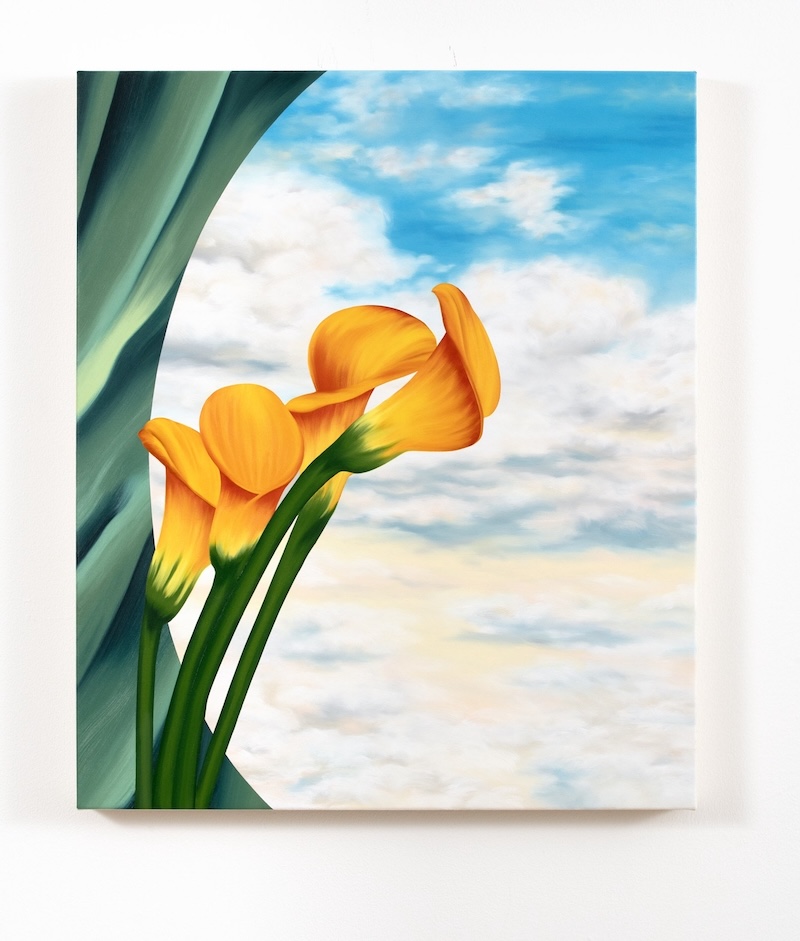 Calla, 2025  oil on linen