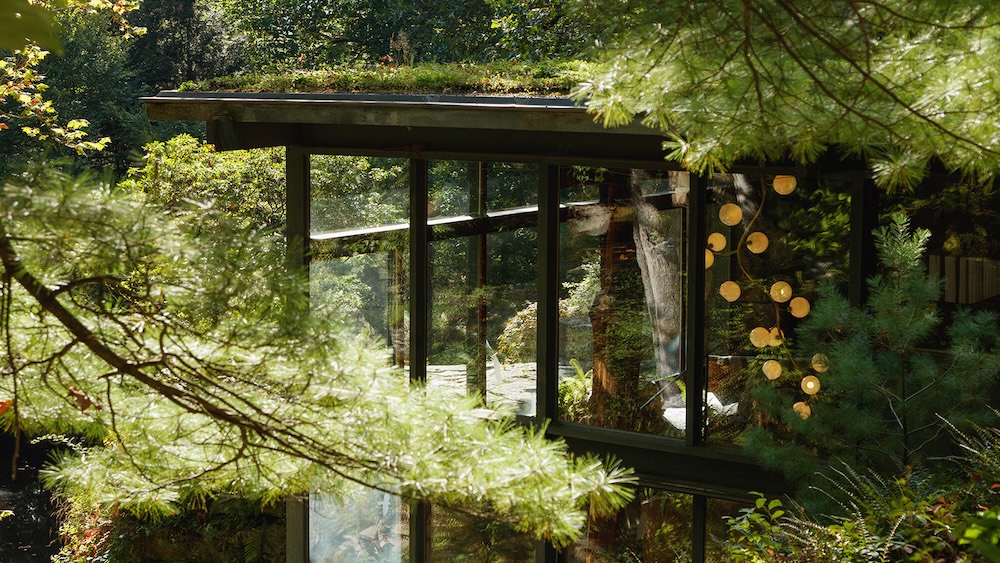 Carousel Image number 5