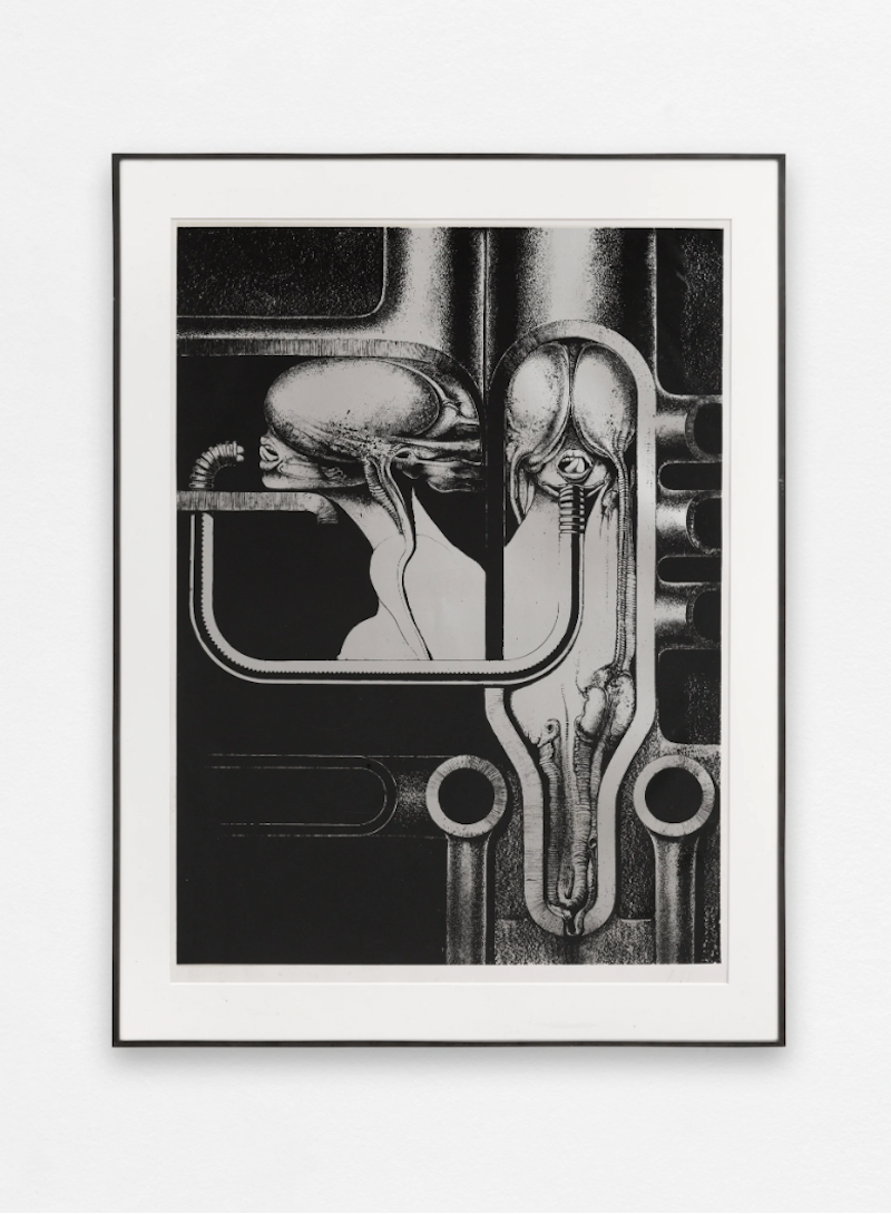 Carousel Image number 1