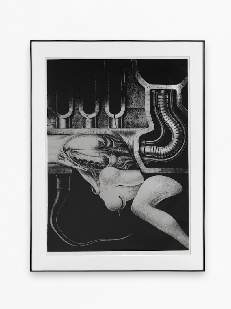 Carousel Image number 2