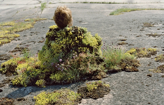 Finnish Seniors Photographed as Elements of the Landscape