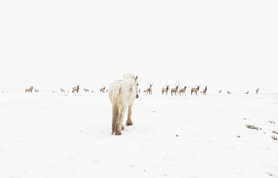 Lucas Foglia: Frontcountry