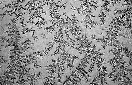 Rose-Lynn Fisher – The Topography of Tears