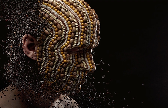 A dinner through the eyes of a photographer and a chef