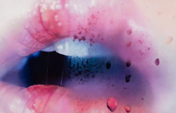 Marilyn Minter: A Constant Rebel