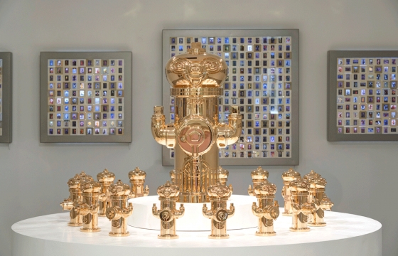 HAROSHI FREE HYDRANT CO Looks at the Fire Hydrant as Skateboarders Canvas
