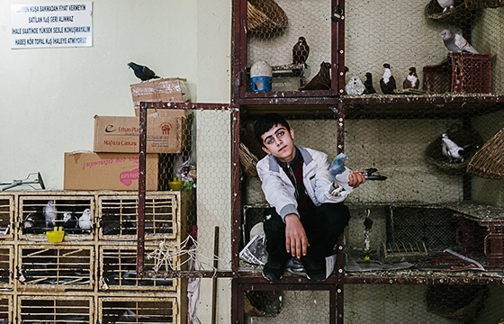 Exploring Turkey with Richard Mills