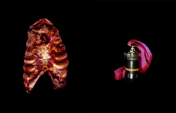 Rapheal Dallaporta's "Antipersonnel"