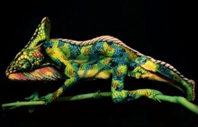 Fine Art Bodypainting by Johannes Stötter image