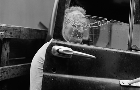 "Grapevine" by Susan Lipper