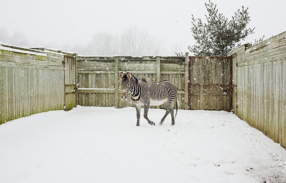 Matt Eich's "Carry Me Ohio"