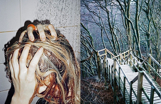 "What Sort of Life is This" by Albert Elm