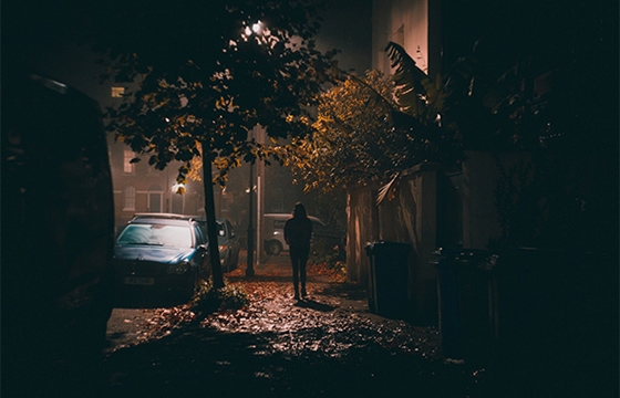 The work of Louis Hvejsel Bork