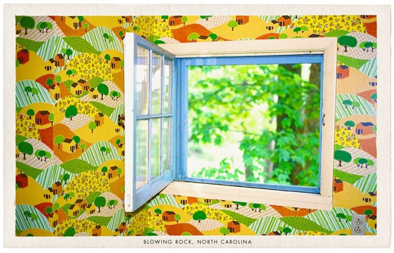 Tatum Shaw's "Wonderland"