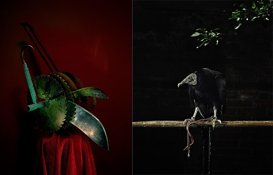 "First Notes From a Theory of Hell" by Gerardo Montiel Klint