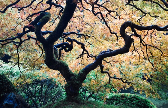 The work of Michael George