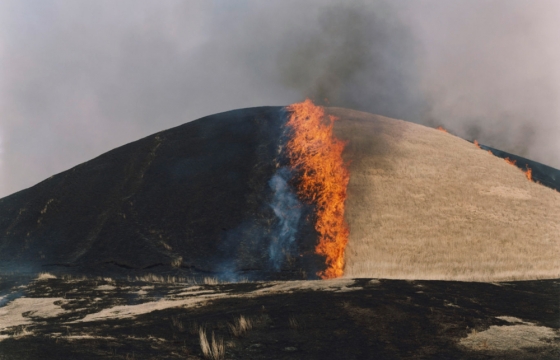 The Illuminating Photographs of Rinko Kawauchi