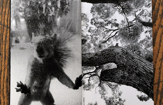 Hamburger Eyes releases 26th issue