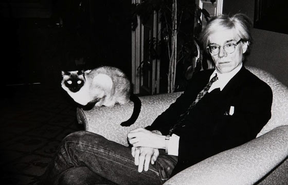 Artists and Their Cats