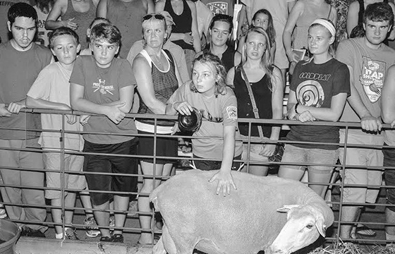 The Work of Kevin O’Meara