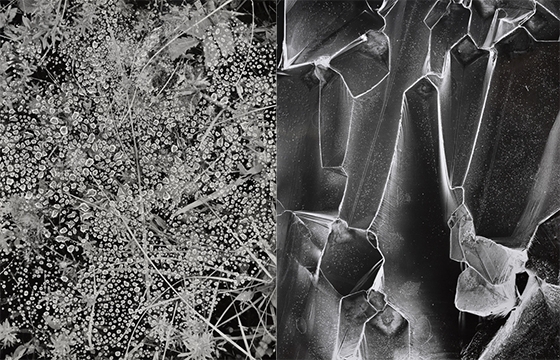 Jean-Pierre Sudre @ Gitterman Gallery