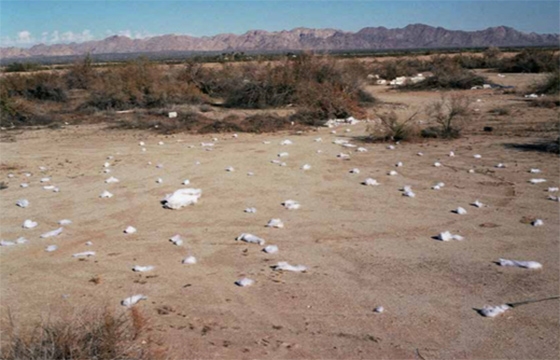 "Never Going Home" @ Ed. Varie, New York