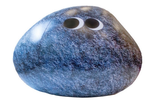 Dream Team Pool Party