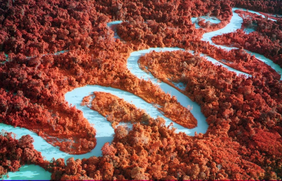 Richard Mosse's Urgent Warning About the Destruction of the Amazon Rainforest