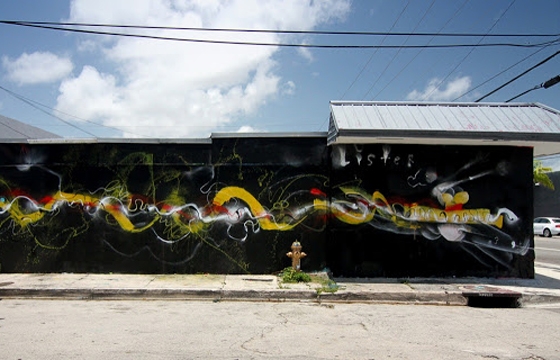 New murals from Anthony Lister in Miami