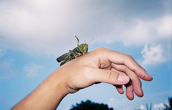 The Work of ChihHsien Chen