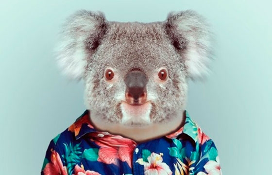 Yago Partal's "Zoo Portraits"