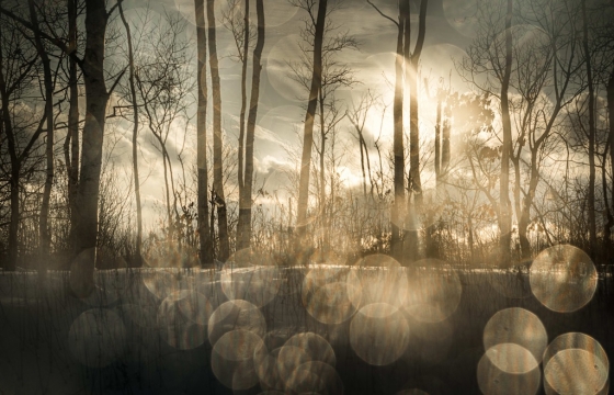 Todd Hido: The Future Sends Advance Warning 