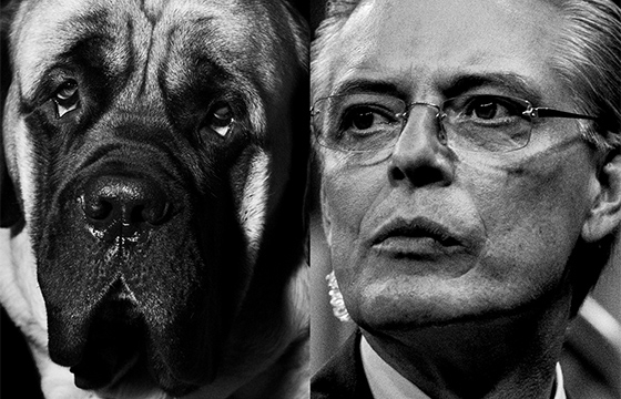 The Westminster Kennel Club at Madison Square Garden by Vincent Tullo