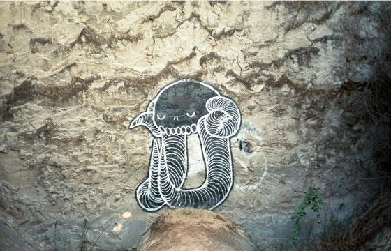 Swamp Donkey rock spot