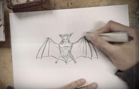 Art In Uncertain Times: How To Draw a Bat with Marcel Dzama (Watch)