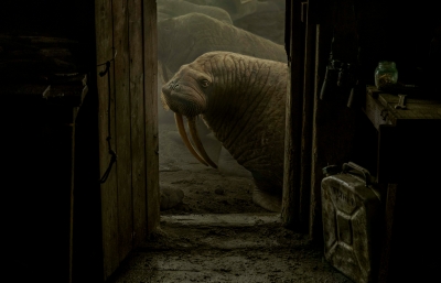 Evgenia Arbugaeva: Hyperborea - Stories from the Russian Arctic image