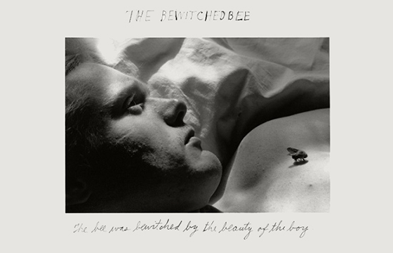 The Bewitched Bee by Duane Michals