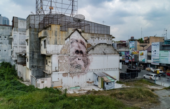 Vhils Paints Mural in Indonesia to Highlight an Endangered Orangutan Species