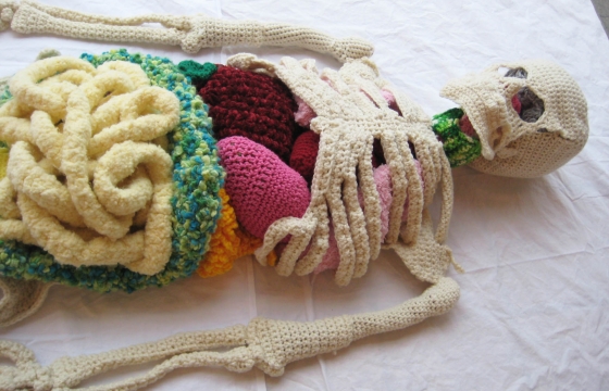 Canadian Artist Shanell Papp Crochets Life-Size Skeleton and Organs